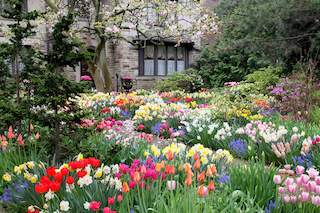 April Showers Mean Spring Flowers!