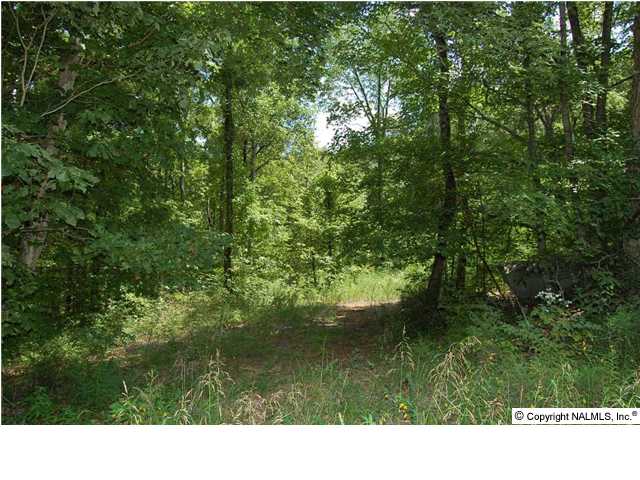 Huntsville Real Estate For Sale: 4.4 Acres on South Green Mountain Road
