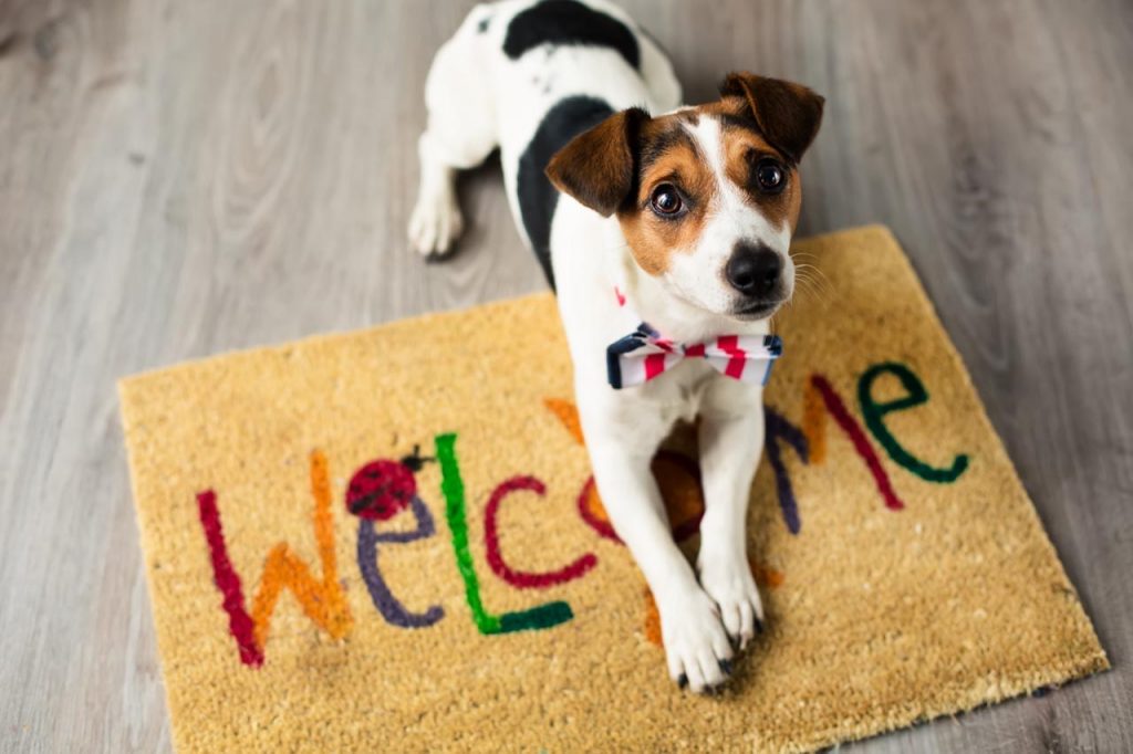 Got Pets? Don't Let Them Scare Away Home Buyers!